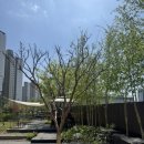 (주)애플웨어 이미지