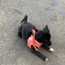 리우네단체키즈풀빌라 이미지