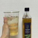 무설초발효원