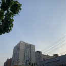 놀부펫마트 이미지