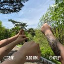 저스트복싱 이미지