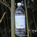 지리산청학동호암영농법인 | 햇살 9회 포화죽염수
