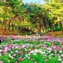 장군마을4길 네이버블로그