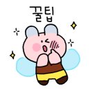 본 (BORN)95 이미지