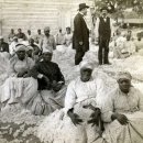 세기농장 이미지