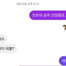 (주)페이지원 컨설팅 | [승마] 호스피아 힐링승마 지원사업 선정 승마 입문하기 : 나 힐링승마 선정됐어~!~!