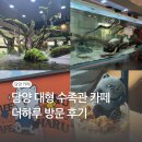 담양 대형 수족관 카페 더하루 후기 | 전남 가볼만한 곳 | 키즈존