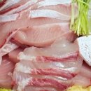 다미횟집 이미지