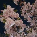 두류3동 | 폭설에도 끄떡없는 헌터 니트 커프 부츠와 혼자 잘 노는 나 | 방수 얼마나 잘 되는지 영상도 낋여왔어염