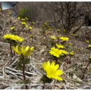 산속농장 이미지