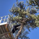 오션스카이 | 강화스카이차 추천, 안전하고 합리적인 비용의 오션스카이차사다리차 이용 후기