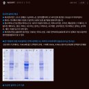와조펫(WAZOPET) | 강아지 면역력 영양제 닥터리 와조알부민 솔직후기