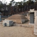 안씨고집 이미지