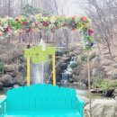 자연-꽃 | 아산 영인산 자연휴양림 꽃구경 포토존 명소 &amp; 아산출장세차 후기