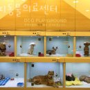 아띠 동물의료센터 이미지