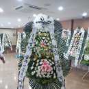 막곡리 복주병원 이미지