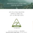에이전시에이치