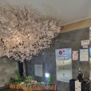 스시와 아주점 이미지