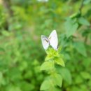 풍경화꽃식물원 이미지