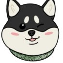 스마일댕댕 이미지