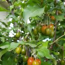 하늘농약사 이미지