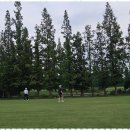 미래골프아카데미 | 안산골프레슨 포디골프아카데미 첫 방문 후기