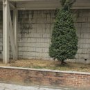 광진금속 | 광진구 폐기물 처리 현장 - 인테리어 공사 후 방치된 자재 및 마대 수거 후기