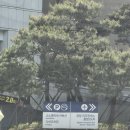 W04-4. 홀투어 | 소노펠리체 다이아몬드홀 암행 투어 &amp; 상담후기-1 (홀 전경)✨