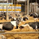 이종화농장 이미지