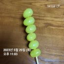 탕후루 중독자의 탕후루 맛별 후기🍓🍏🍇🫐🍊+🍍🍅(왕가탕후루, 황후탕후루)