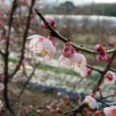안평역 2. 4번출구 이미지