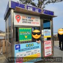 선유북길 | 군산 선유도 짚라인 | 선유스카이썬라인 체험 후기