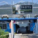 춘천물레길 | 체험 추천 춘천 중도 물레길 카누체험후기 춘천중도물레길, 춘천 가볼만한곳 , 춘천 여행, 춘천 카누체험