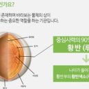 봄봄안경 이미지