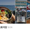 또또뽀기 네이버블로그