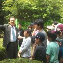 창천초교 이미지