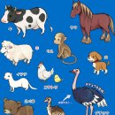 민영목장2 이미지