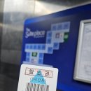 제주오겹살 | 수원역 로데오 돼지고기 맛집 제주도새기 목살 오겹살 후기