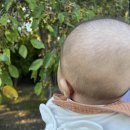 썸레스트 | 가평아기랑갈만한곳 야외정원이 있어 좋았던 가평카페,니드썸레스트 내돈내산 후기