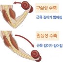 SS골프 네이버블로그