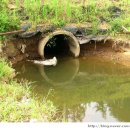 새물낚시터 이미지