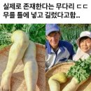 (약간 혐오) 사람다리 모형 이미지