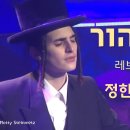 레브마음