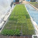 팔봉농원 이미지