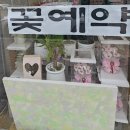 소담꽃 이미지