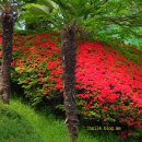 팔마정구장 이미지