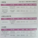코네시아