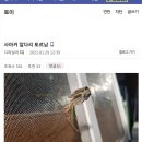 토이갤러리.......의수제작 레전드..gif 이미지