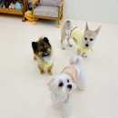 댕구르르 유치원 이미지