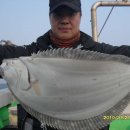 갈매기1호 이미지